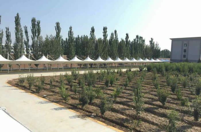 ���ͺ����ٹ���Ĥ�ṹ����